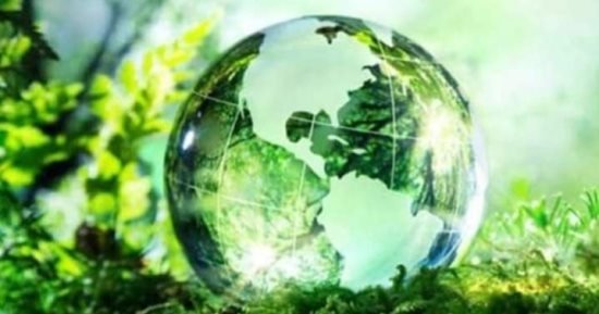 على رأسها تكنولوجيا الأخشاب.. تعرف على أهم المشروعات الخضراء