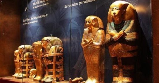 الجمعة.. افتتاح معرض “قمة الهرم: حضارة مصر القديمة” بمتحف شنغهاى بالصين الجمعة.. افتتاح معرض “قمة الهرم: حضارة مصر القديمة” بمتحف شنغهاى بالصين