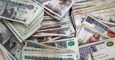 160 مليار جنيه استثمارات صناديق التأمين الخاصة في مصر بنهاية 2024