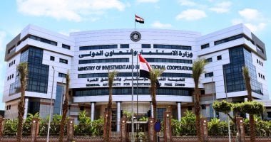 ما هى الشروط الواجب توافرها لتمتع المشروعات الاستثمارية بالحوافز الخاصة؟